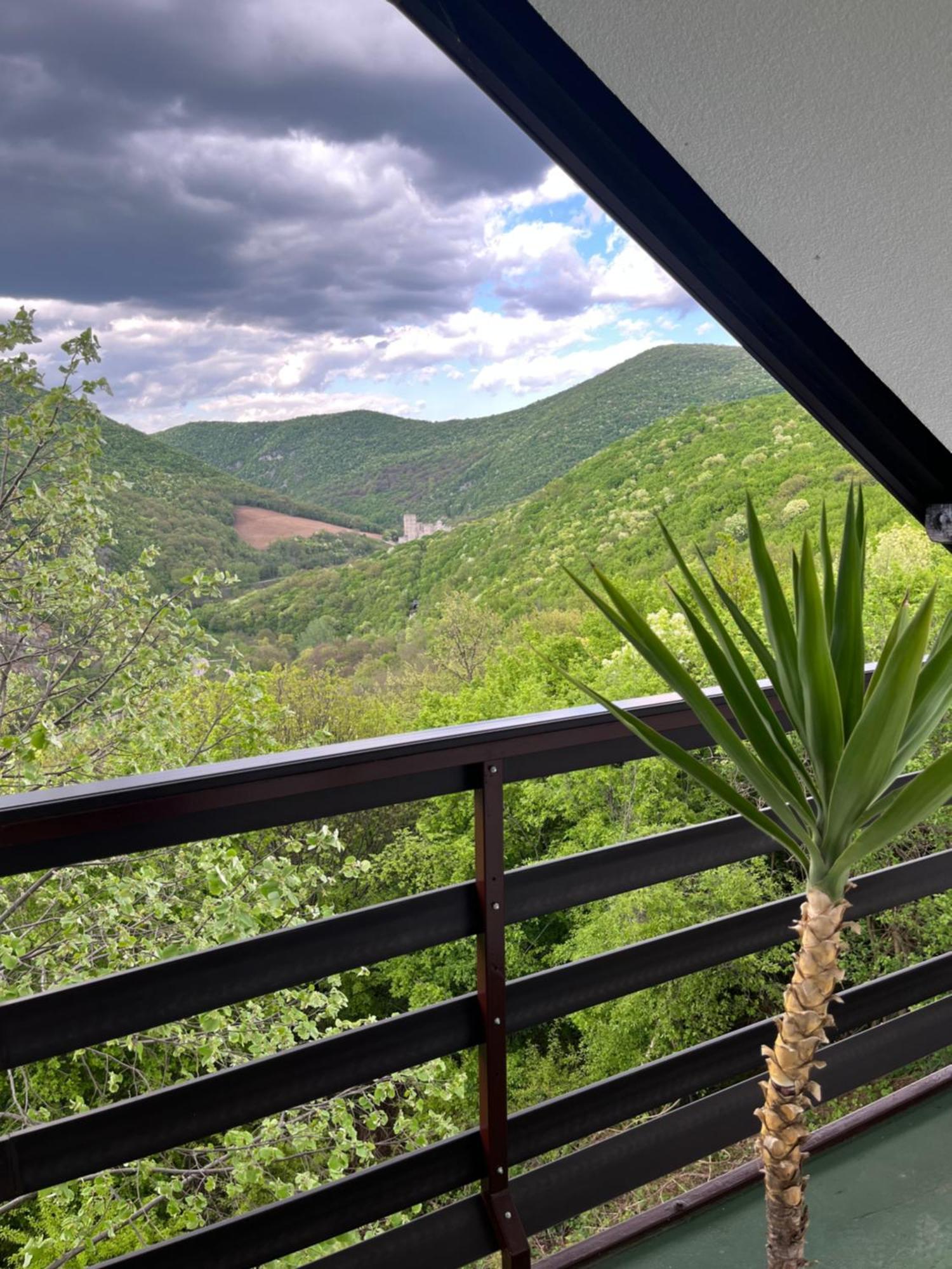 Villa Buena