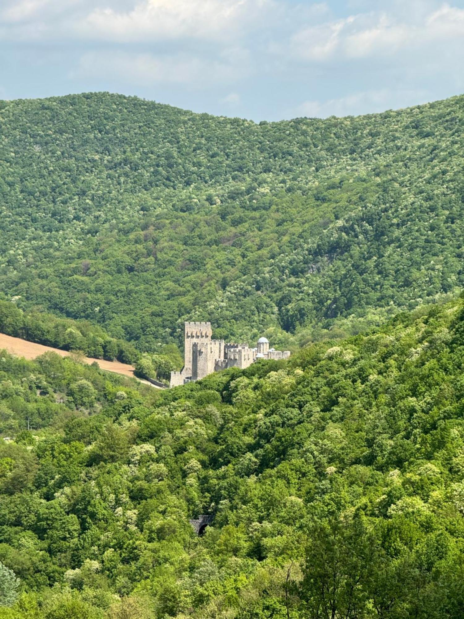 Villa Buena Despotovac