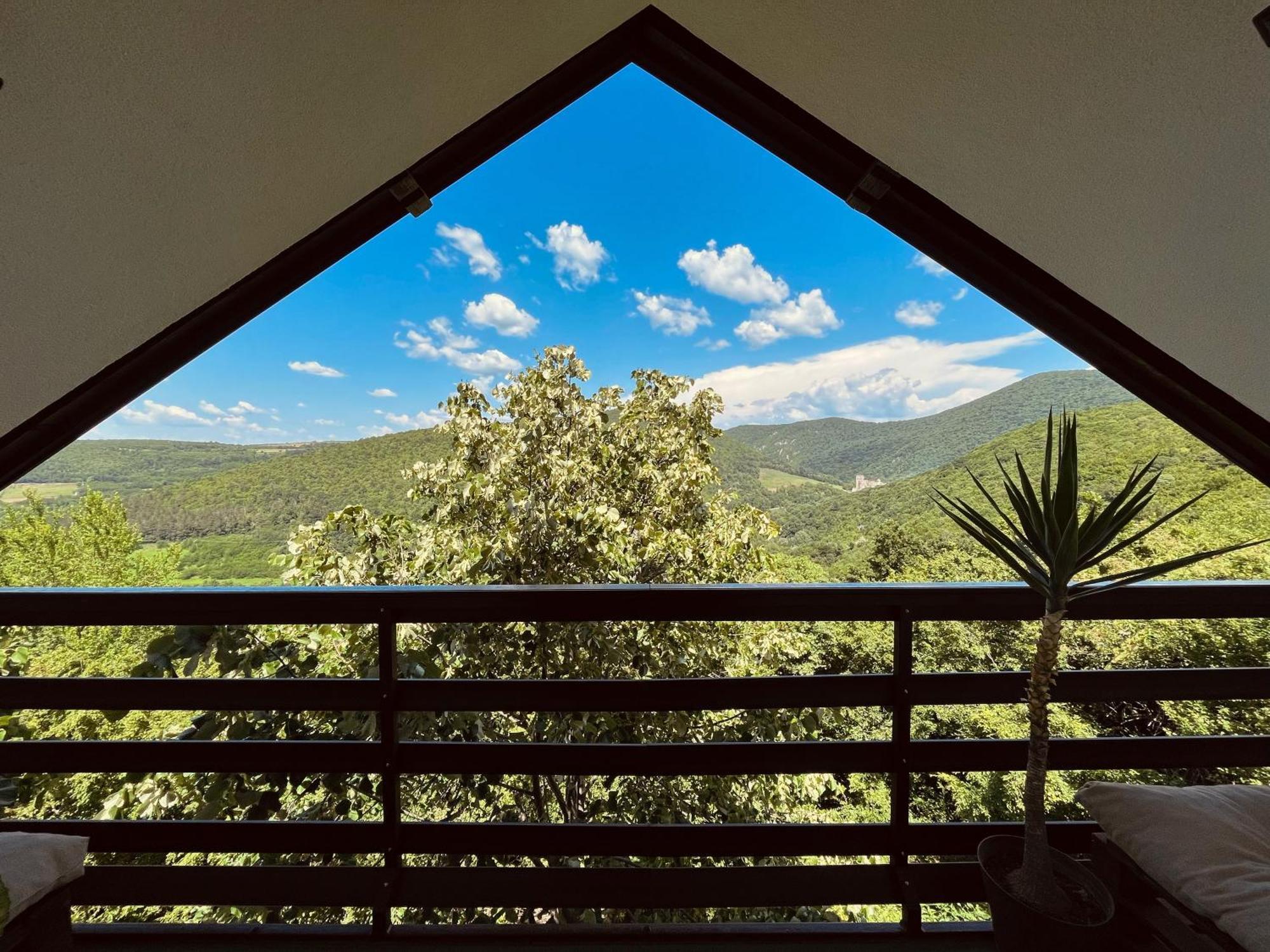 Buena Villa Despotovac